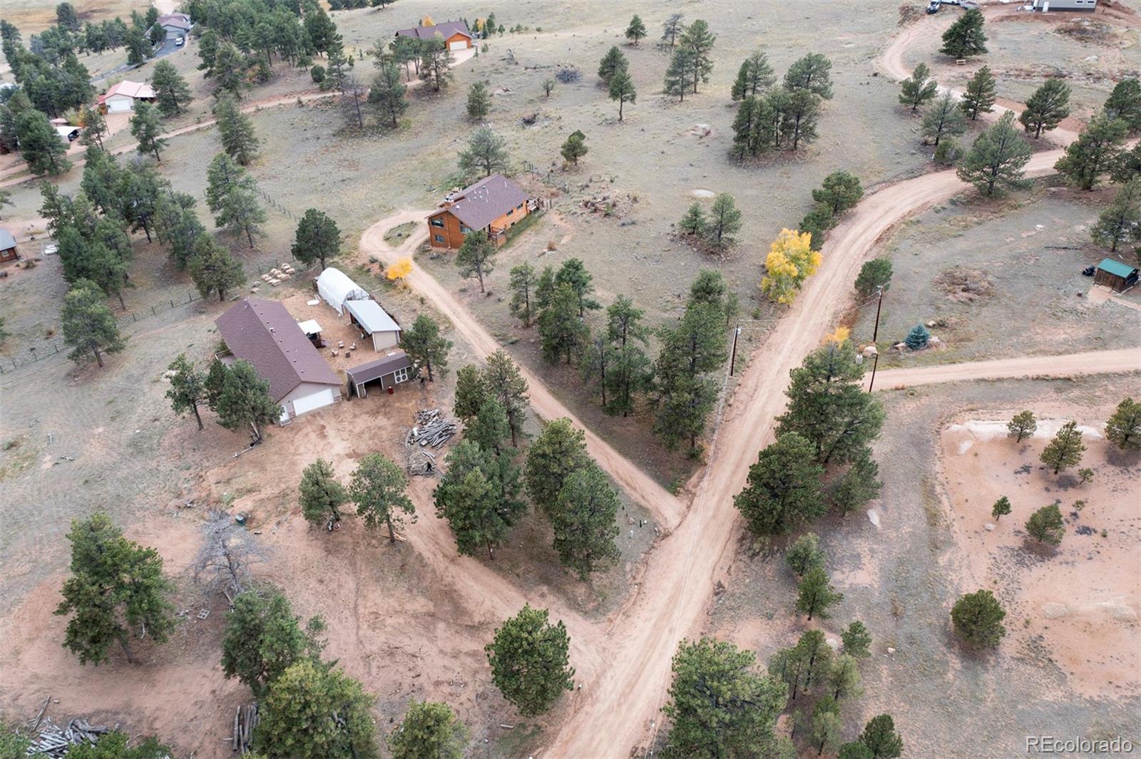 34 Fetlock Florissant CO 80816