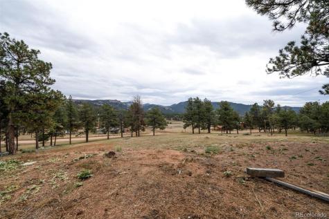 34 Fetlock Florissant CO 80816