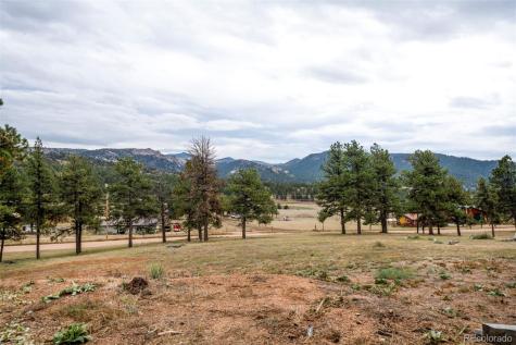 34 Fetlock Florissant CO 80816