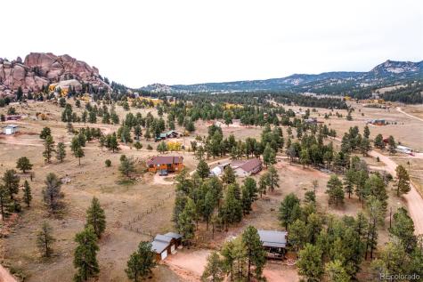 34 Fetlock Florissant CO 80816