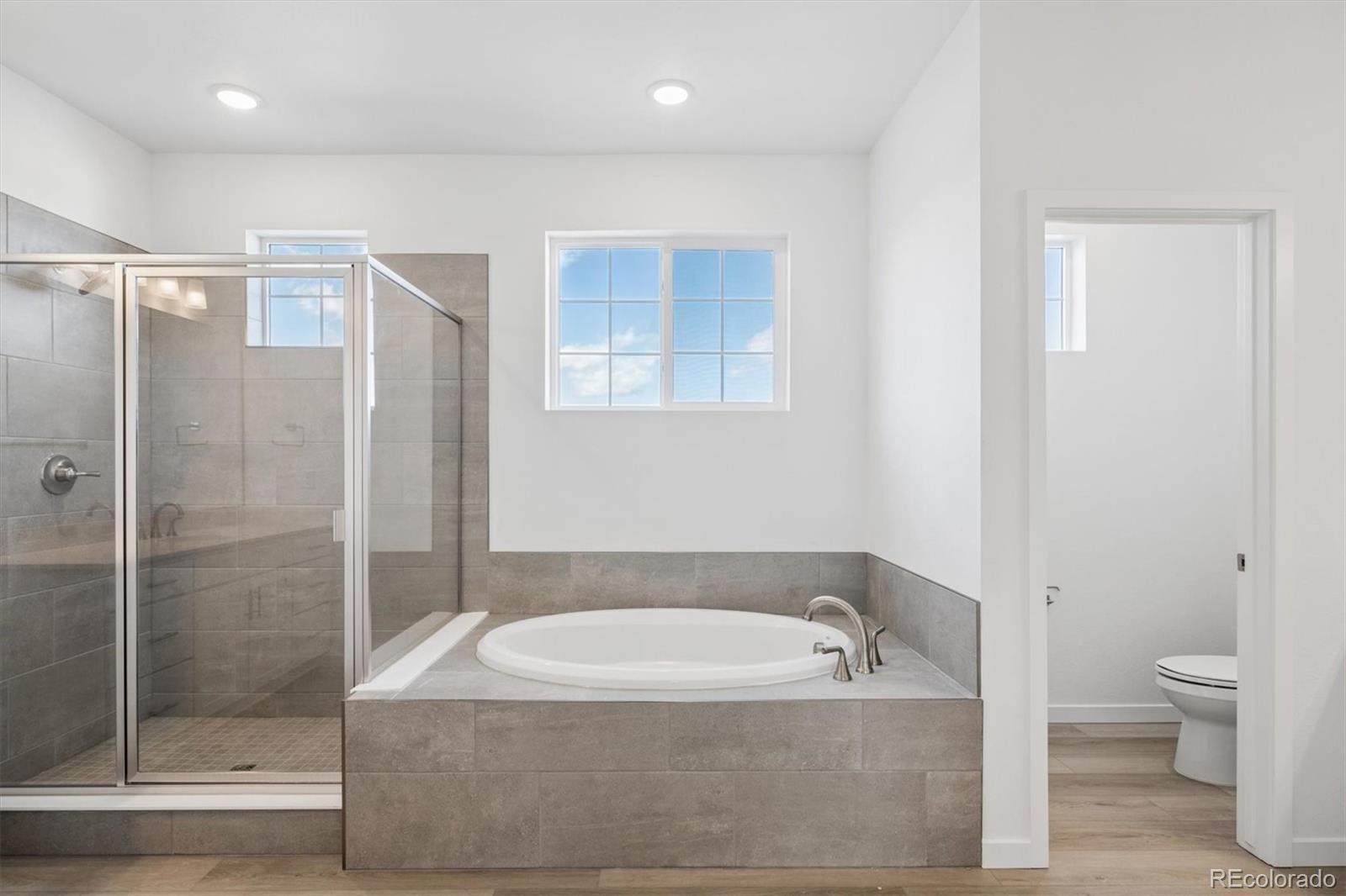 9210 Gold Lace Place Highlands Ranch CO 80129