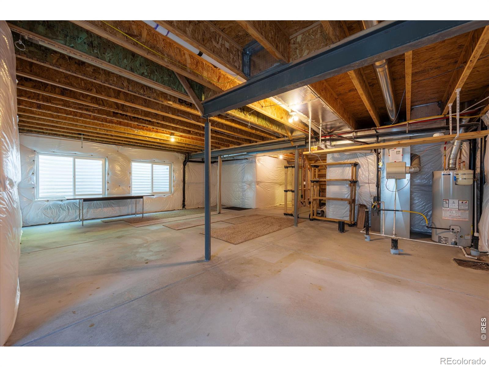 480 Wind River Drive Windsor CO 80550