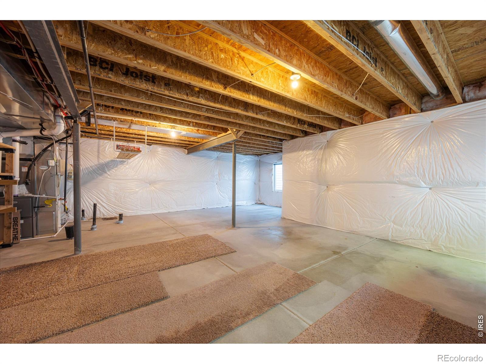 480 Wind River Drive Windsor CO 80550