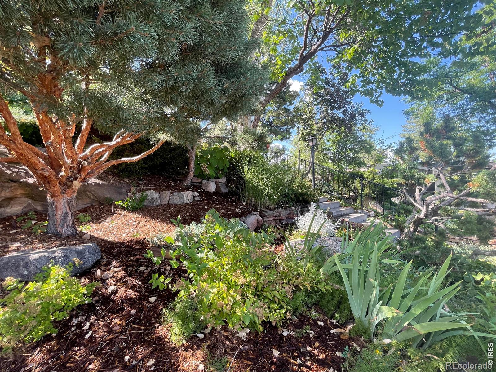 410 College Avenue Boulder CO 80302