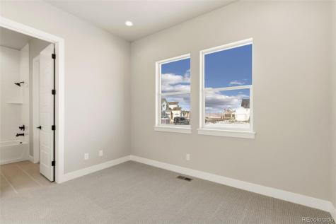 1641 Flourish Court Windsor CO 80550