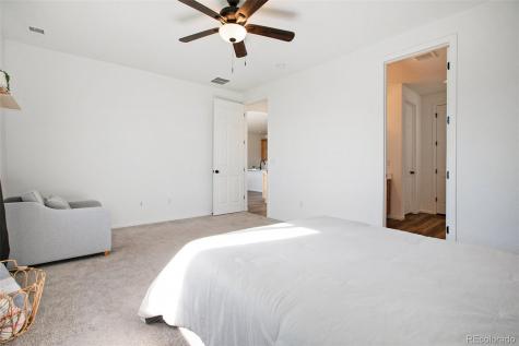 291 Vista Cliff Circle Castle Rock CO 80104