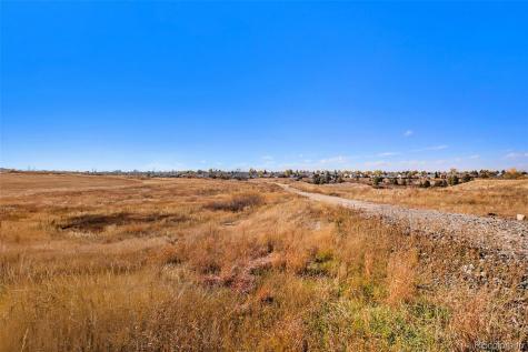 291 Vista Cliff Circle Castle Rock CO 80104