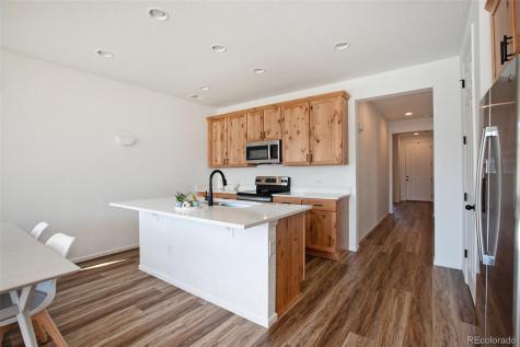 291 Vista Cliff Circle Castle Rock CO 80104