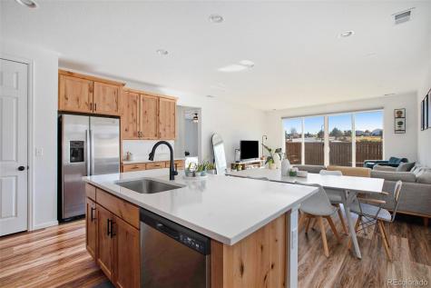 291 Vista Cliff Circle Castle Rock CO 80104
