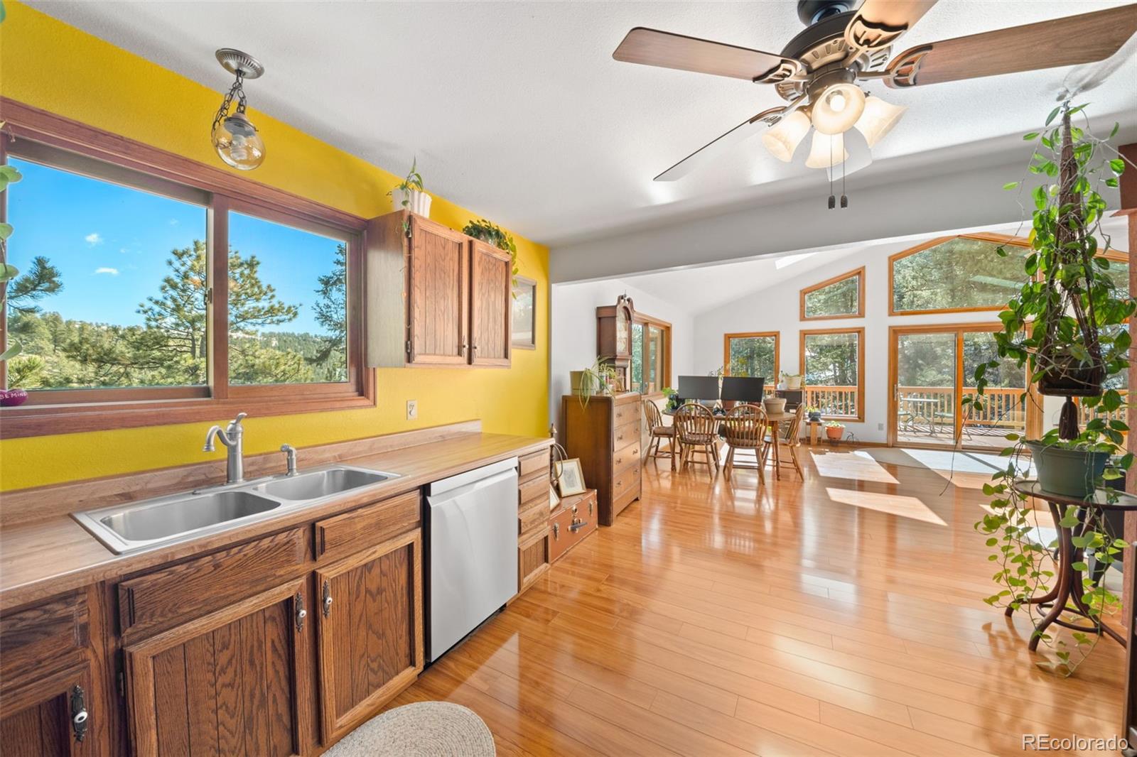 1269 Roland Drive Bailey CO 80421