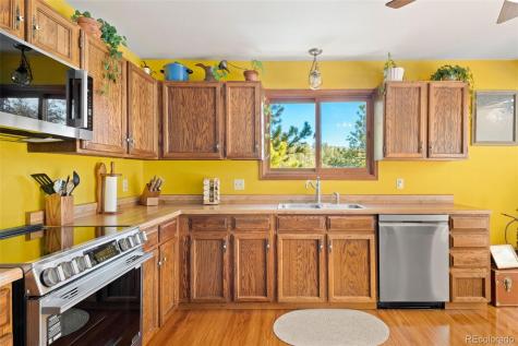1269 Roland Drive Bailey CO 80421