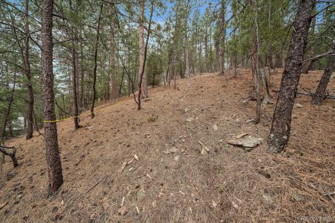 3065 Piney Ridge Road Evergreen CO 80439