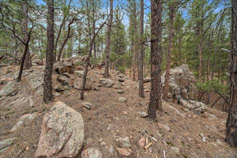3065 Piney Ridge Road Evergreen CO 80439