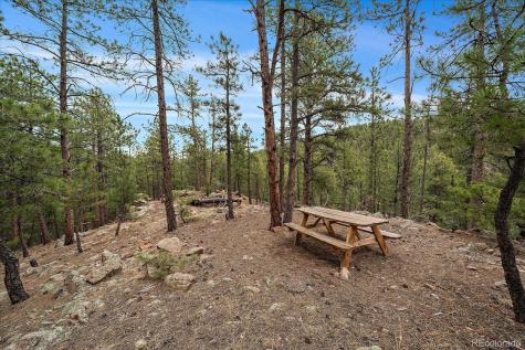 3065 Piney Ridge Road Evergreen CO 80439