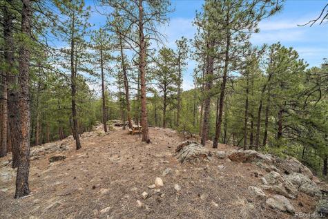 3065 Piney Ridge Road Evergreen CO 80439