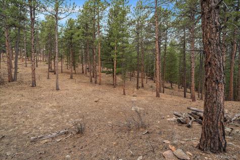 3065 Piney Ridge Road Evergreen CO 80439
