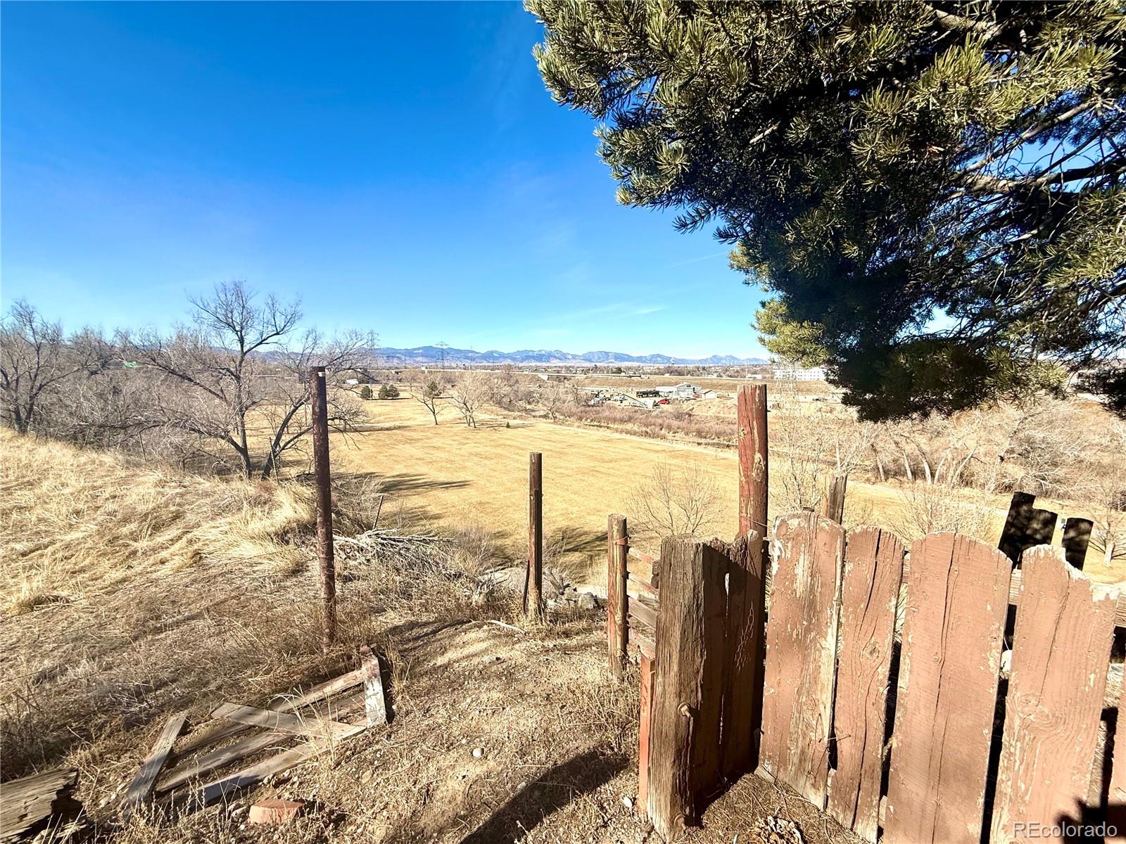 6105 W 49th Place Wheat Ridge CO 80033