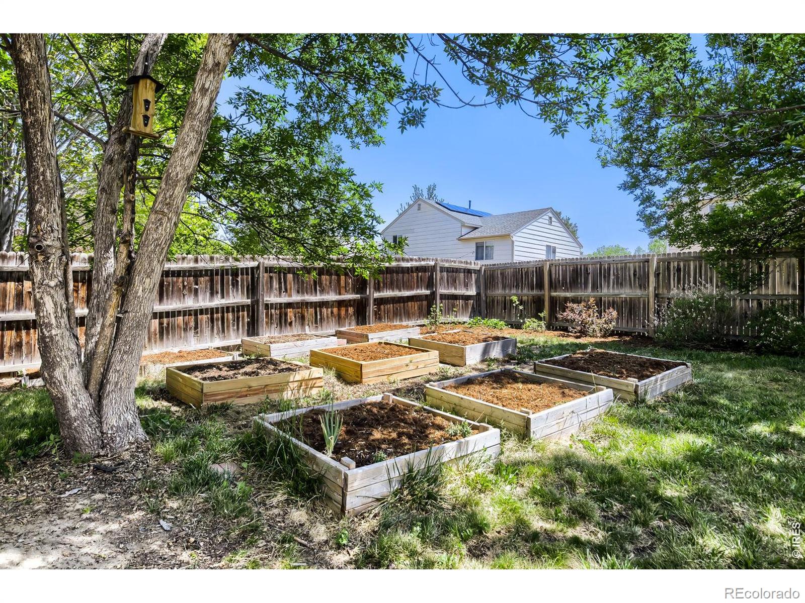 1633 Deerwood Drive Longmont CO 80504