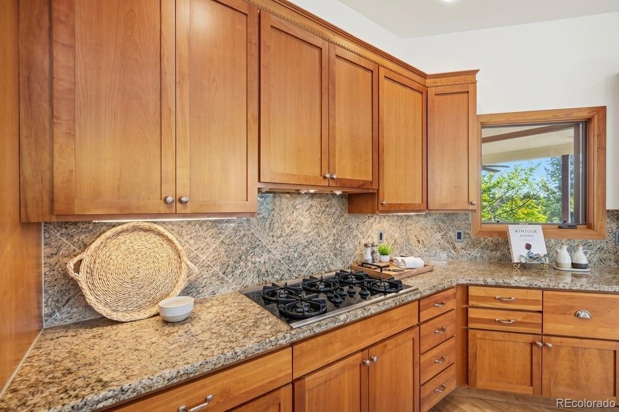 4637 Palmer Ridge Drive Parker CO 80134