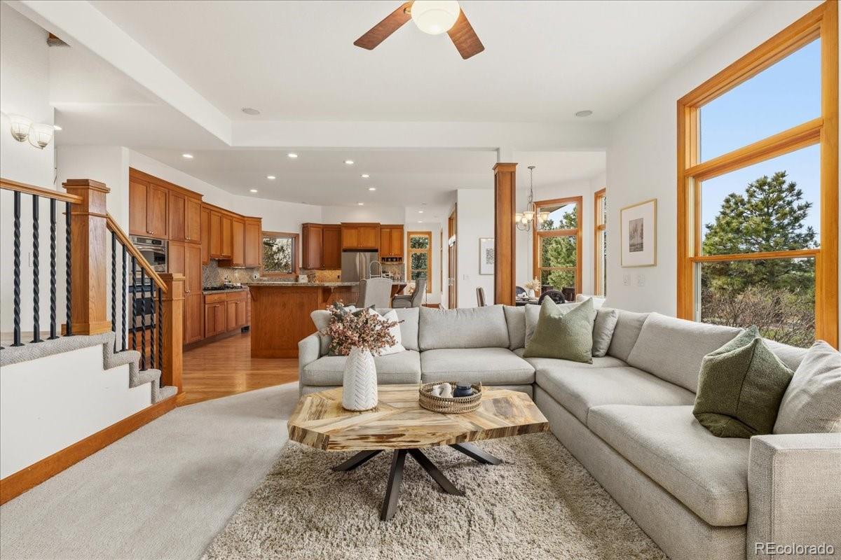 4637 Palmer Ridge Drive Parker CO 80134