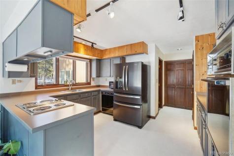 141 Dory Lakes Drive Black Hawk CO 80422