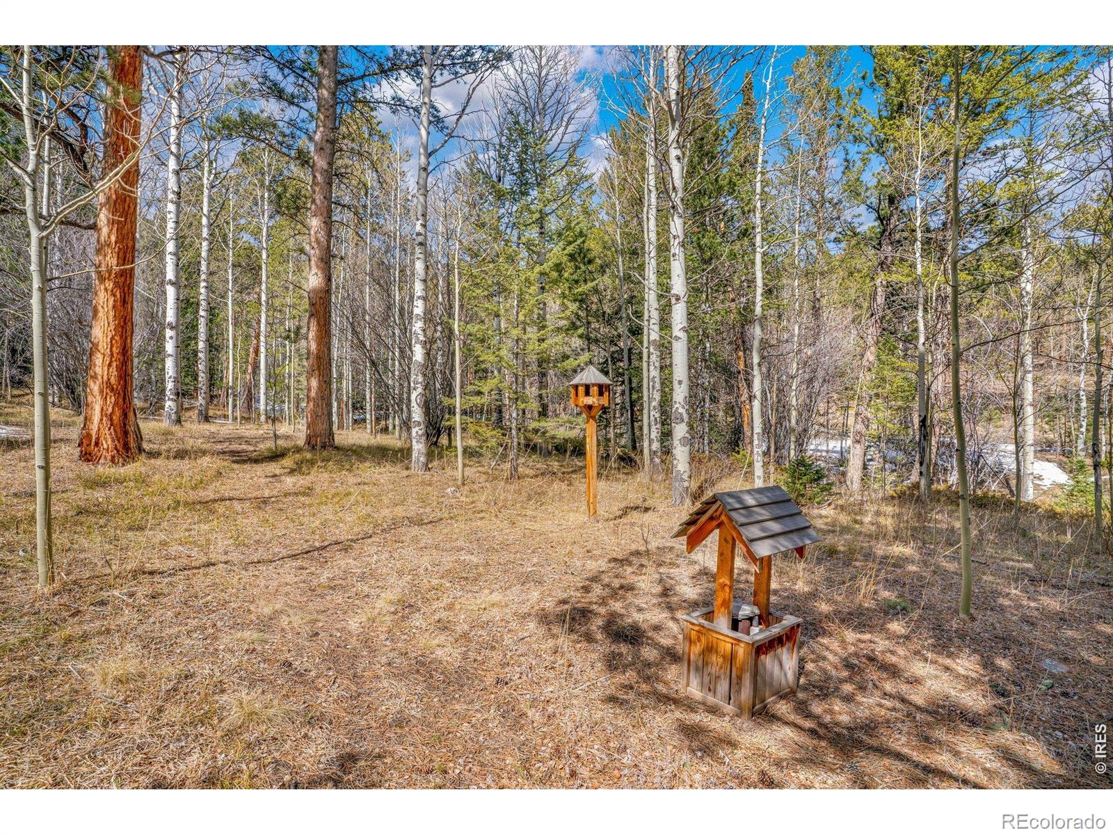 251 Haugen Slide Road Allenspark CO 80510