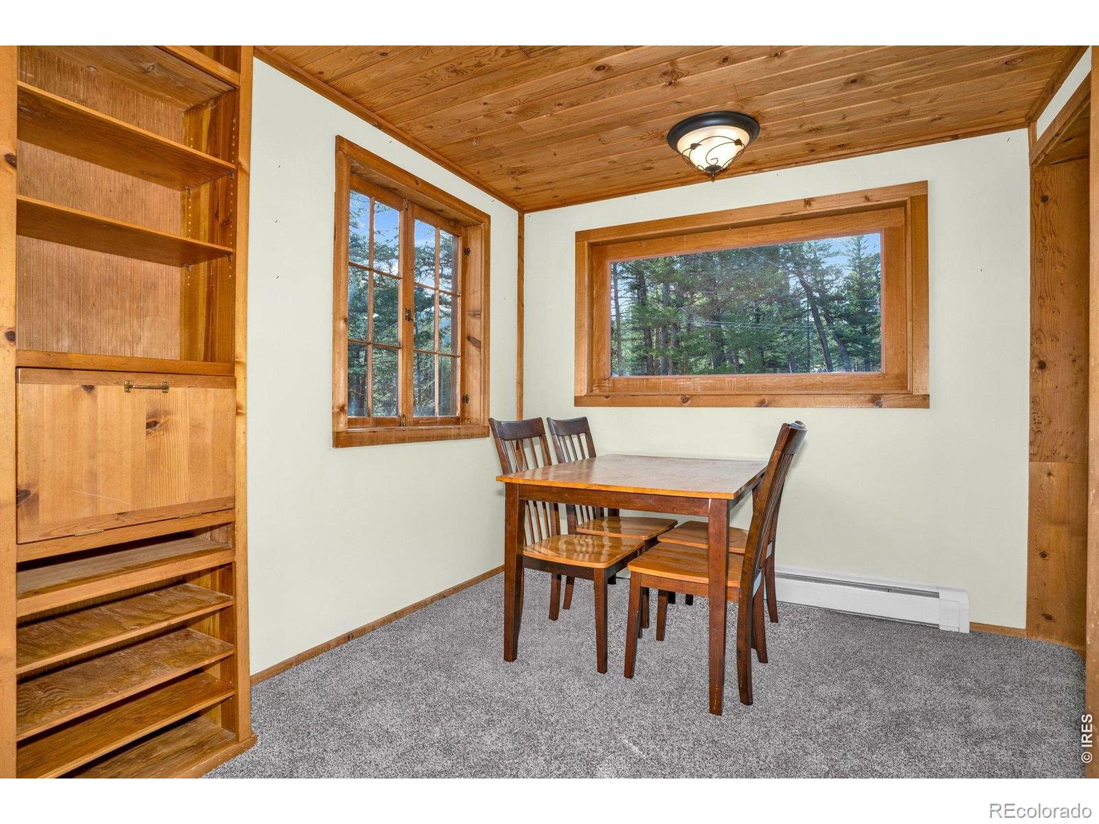 251 Haugen Slide Road Allenspark CO 80510