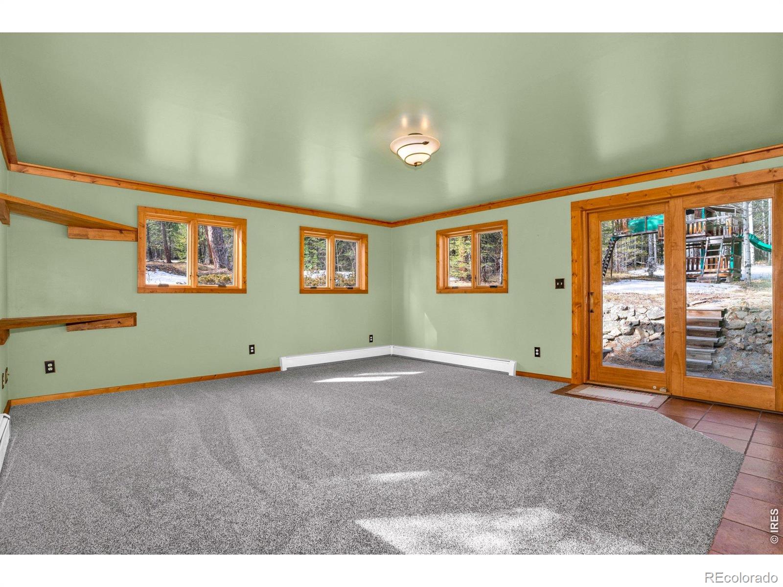 251 Haugen Slide Road Allenspark CO 80510