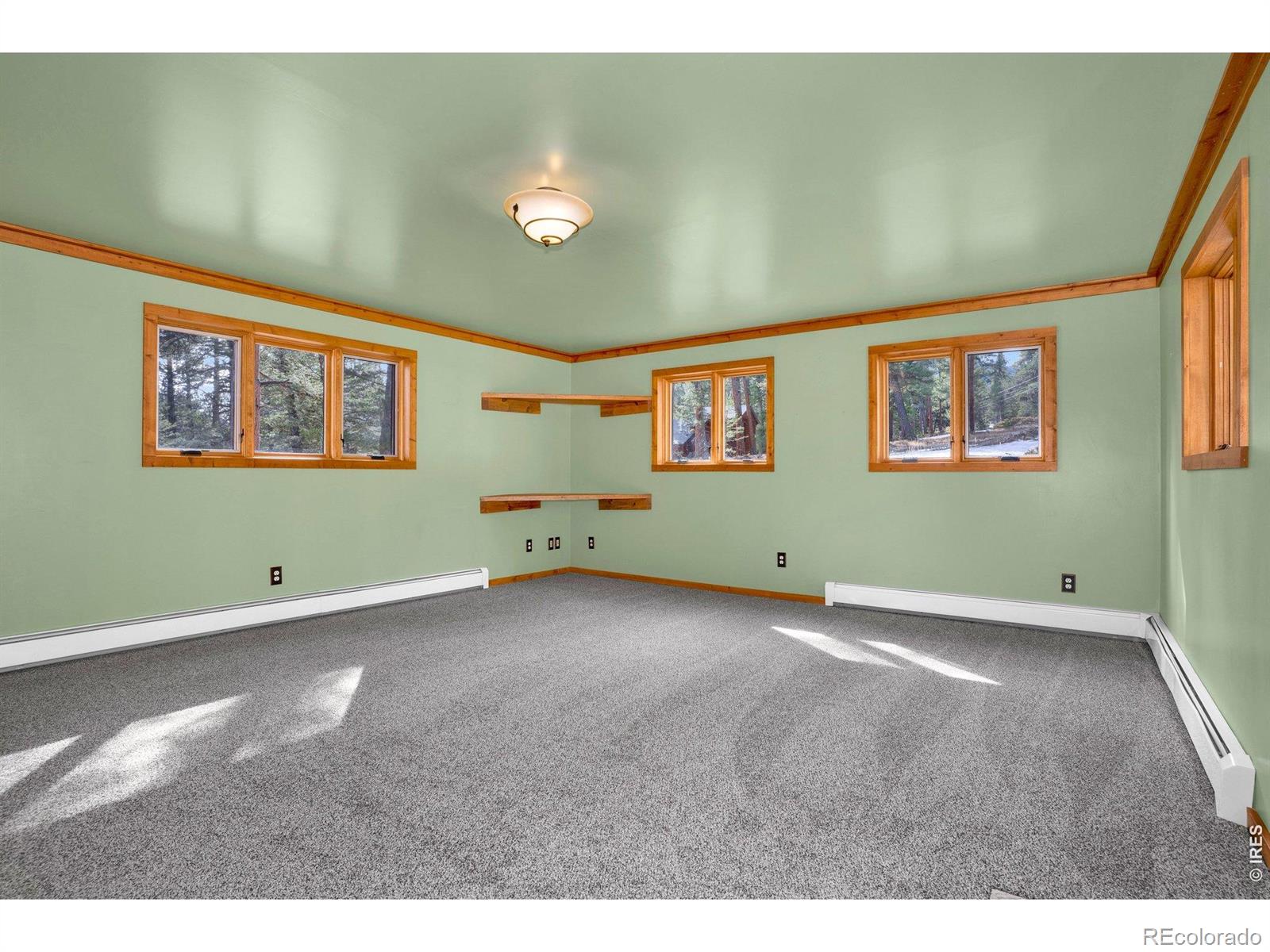 251 Haugen Slide Road Allenspark CO 80510