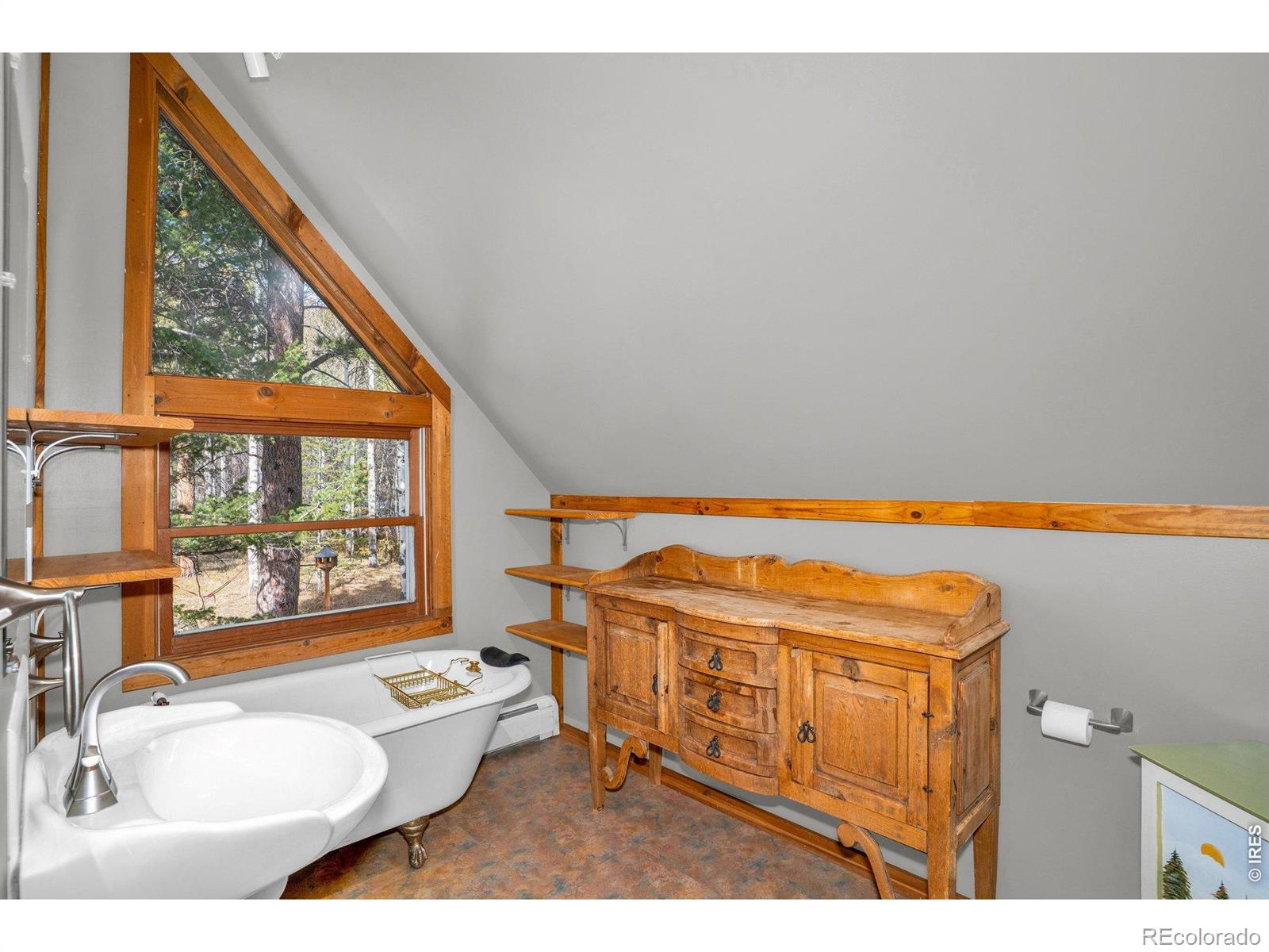 251 Haugen Slide Road Allenspark CO 80510