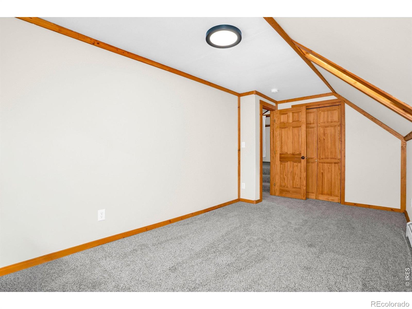 251 Haugen Slide Road Allenspark CO 80510