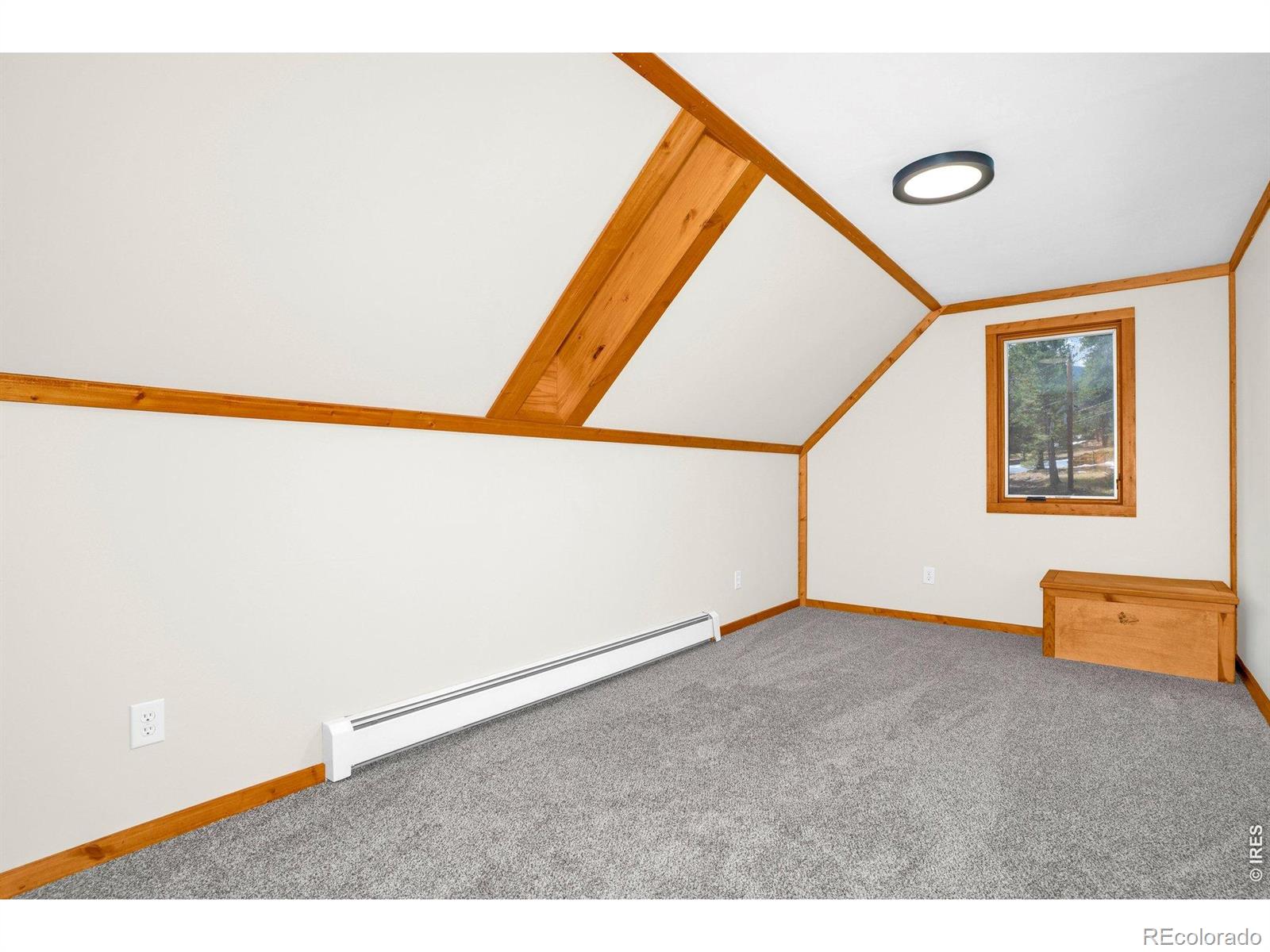 251 Haugen Slide Road Allenspark CO 80510