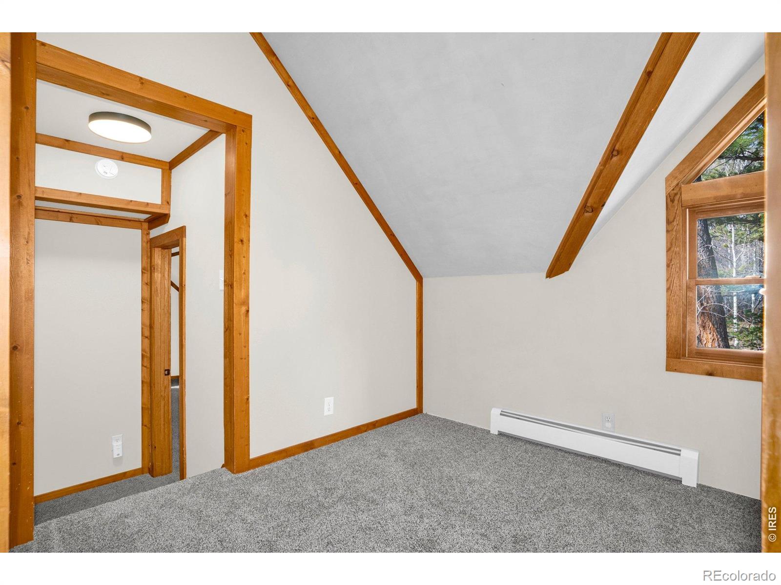 251 Haugen Slide Road Allenspark CO 80510