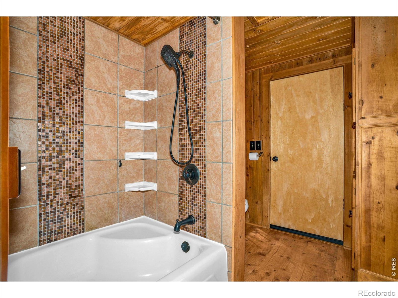 251 Haugen Slide Road Allenspark CO 80510