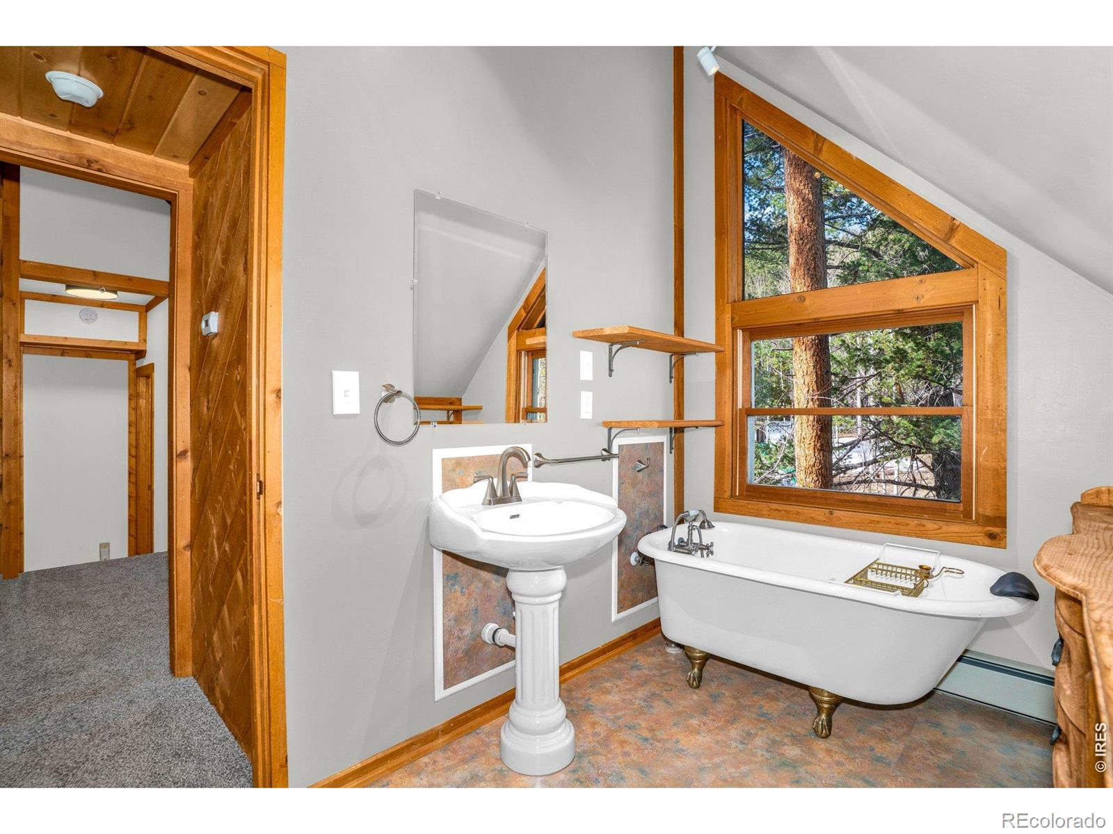 251 Haugen Slide Road Allenspark CO 80510