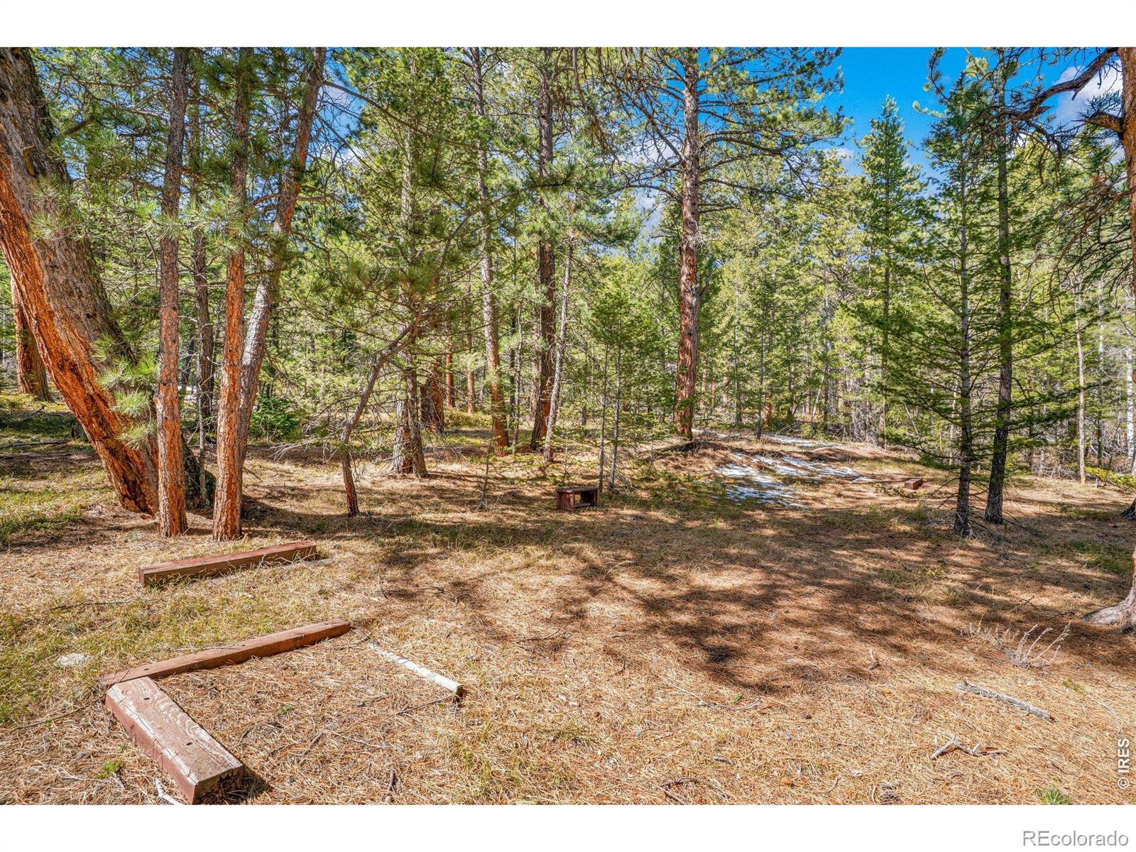251 Haugen Slide Road Allenspark CO 80510