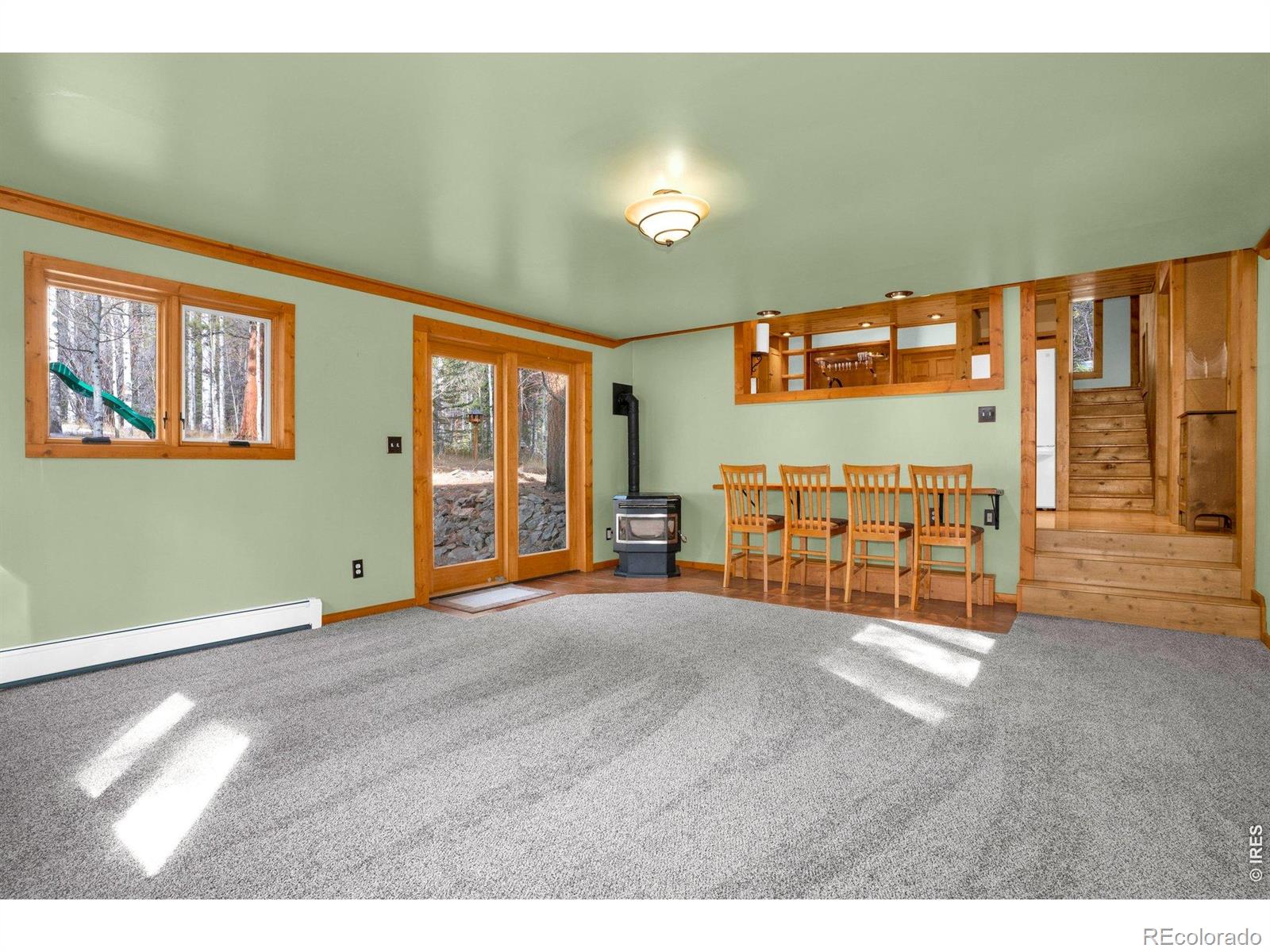 251 Haugen Slide Road Allenspark CO 80510