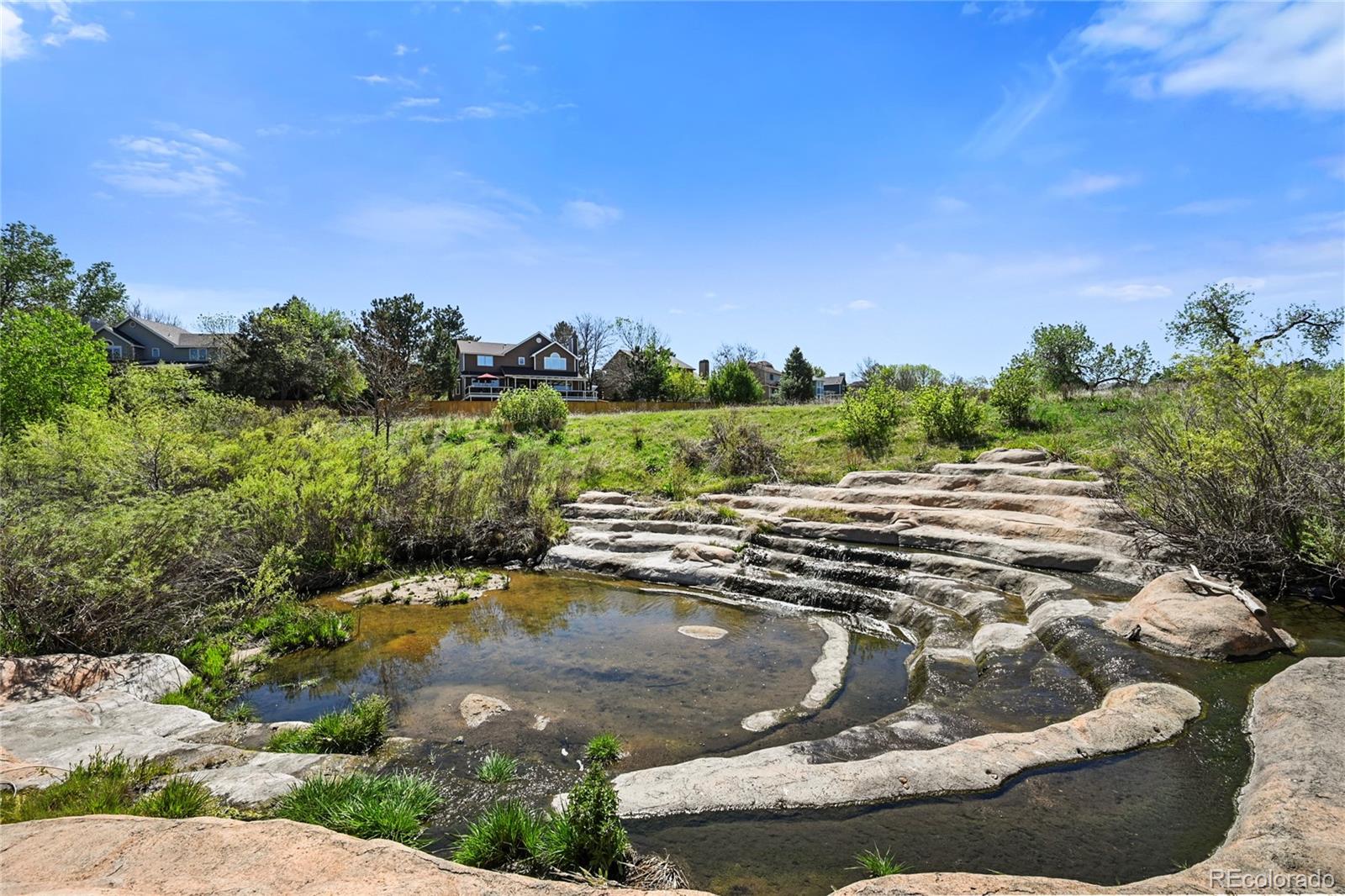 9293 Cornell Circle Highlands Ranch CO 80130