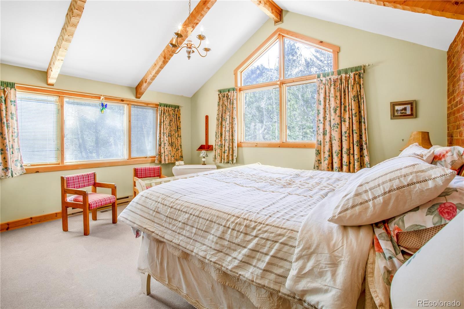 22590 County Road 292a Nathrop CO 81236