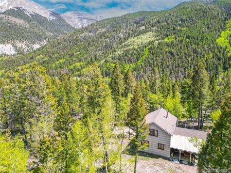 22590 County Road 292a Nathrop CO 81236