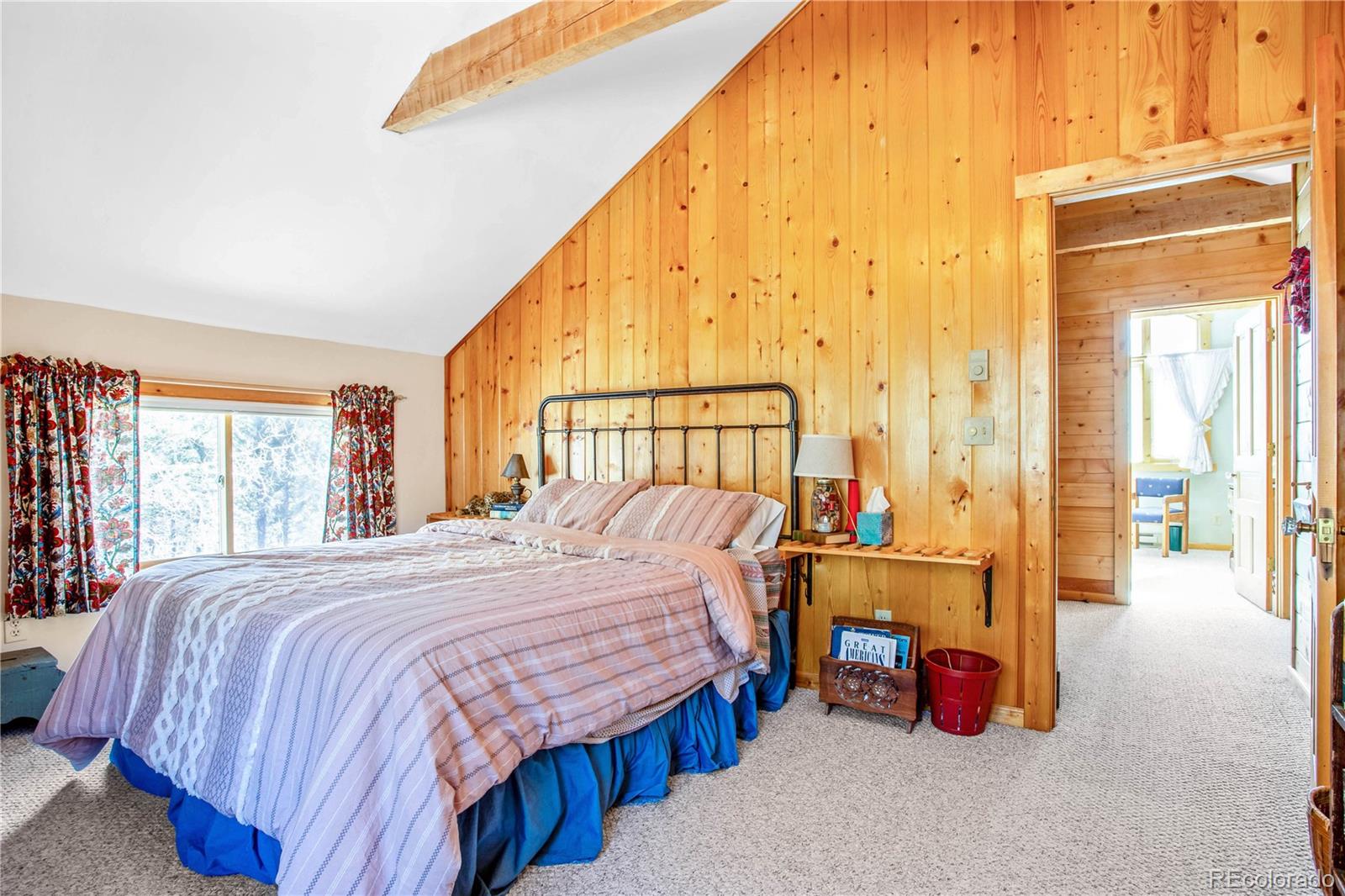 22590 County Road 292a Nathrop CO 81236