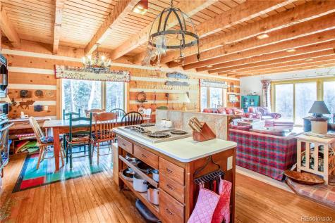 22590 County Road 292a Nathrop CO 81236
