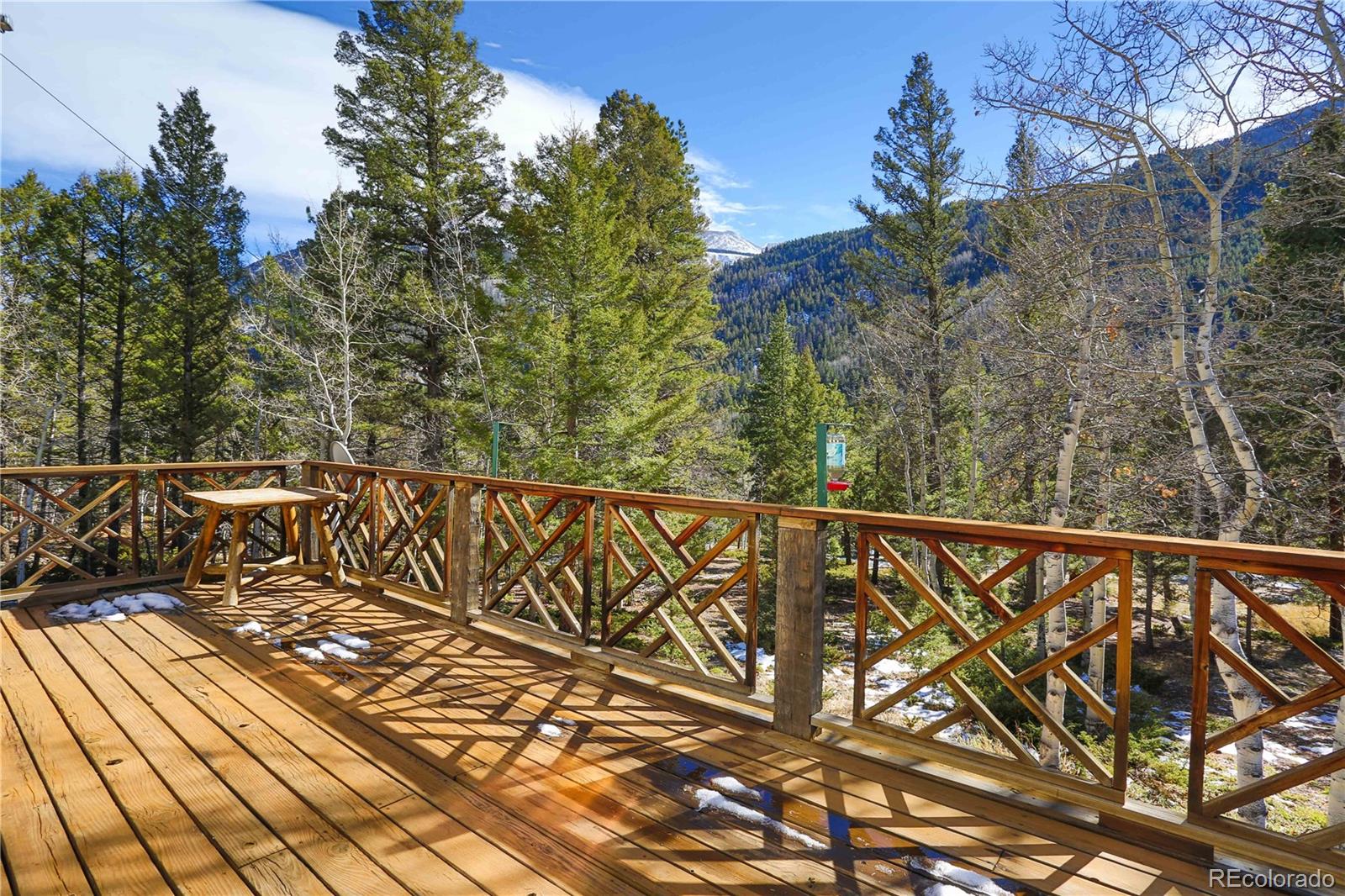 22590 County Road 292a Nathrop CO 81236