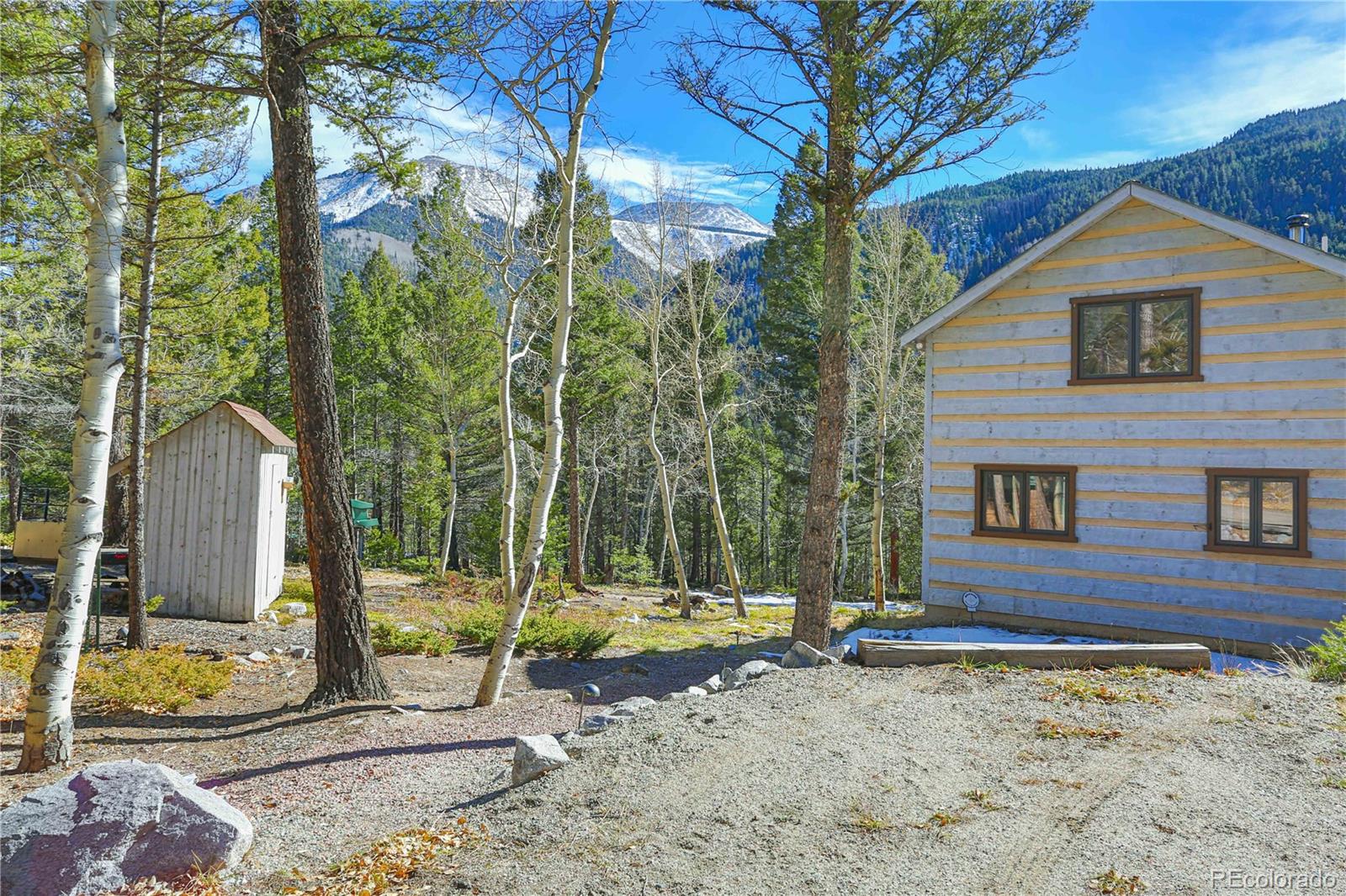 22590 County Road 292a Nathrop CO 81236