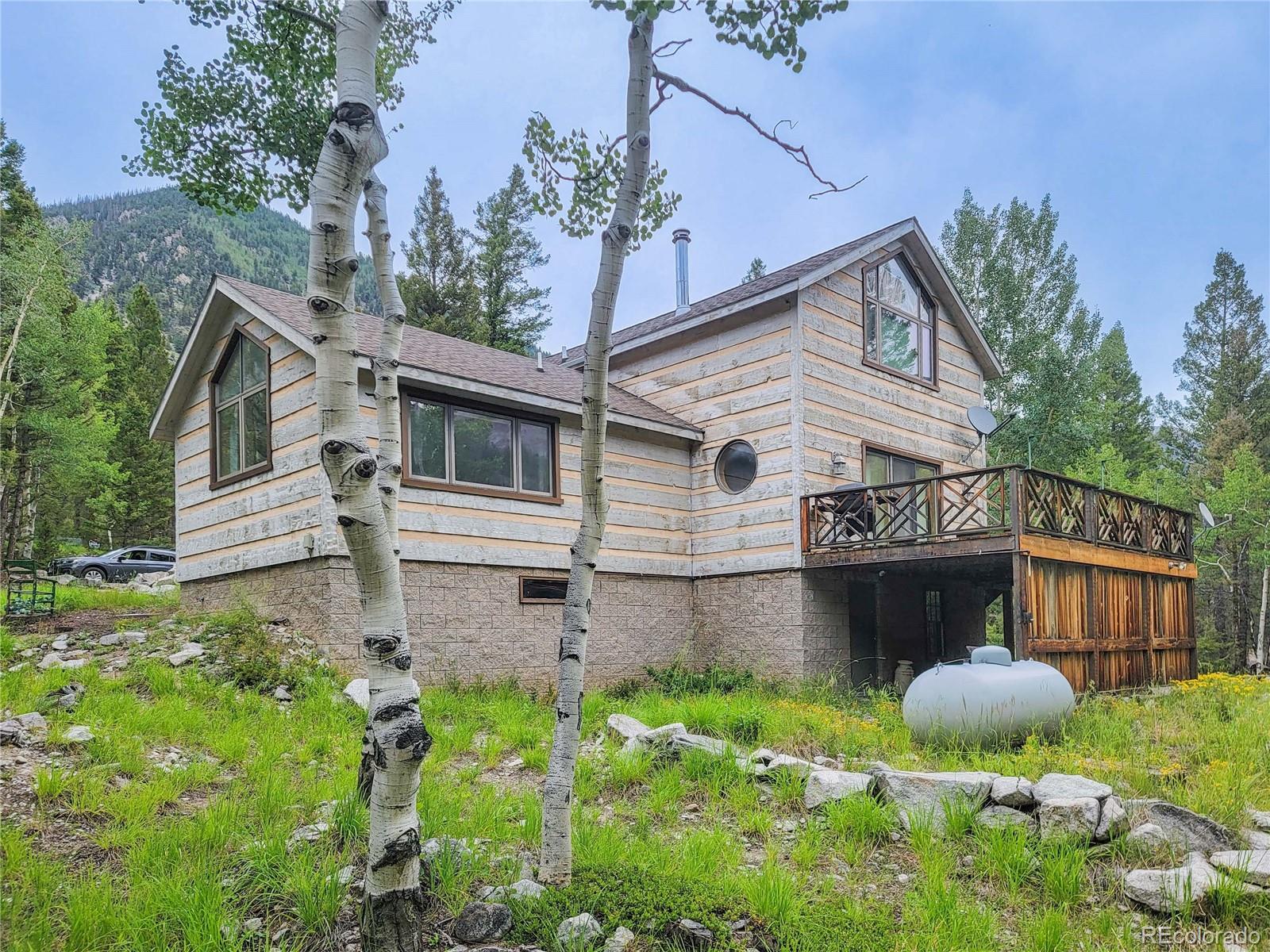 22590 County Road 292a Nathrop CO 81236