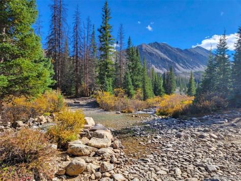22590 County Road 292a Nathrop CO 81236