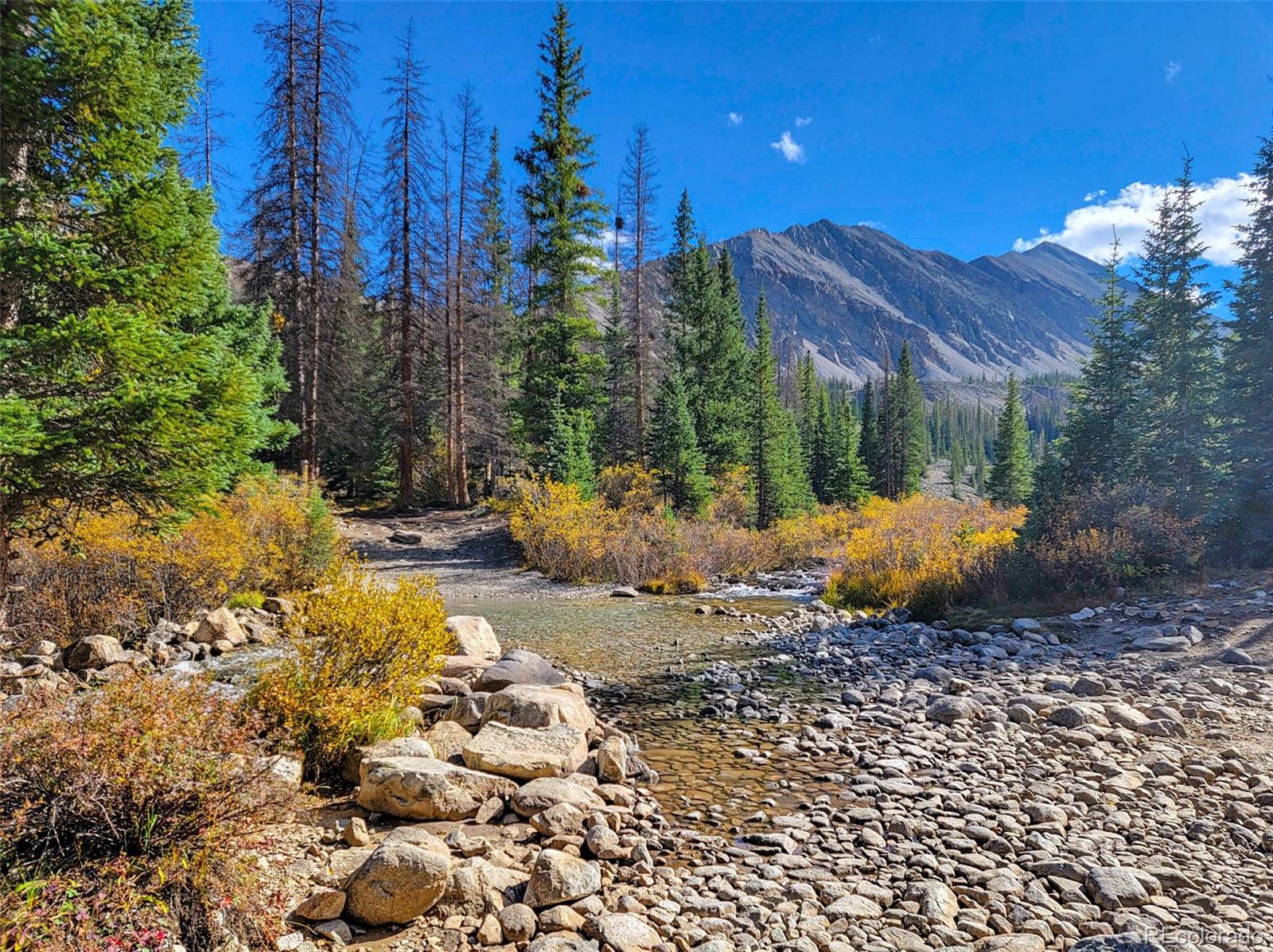 22590 County Road 292a Nathrop CO 81236