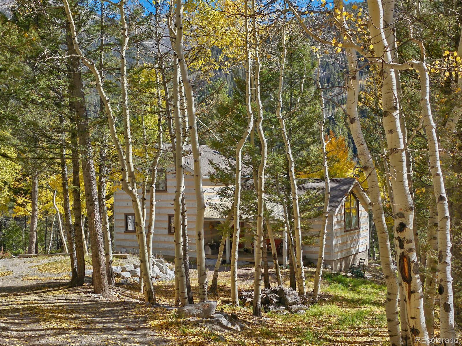 22590 County Road 292a Nathrop CO 81236