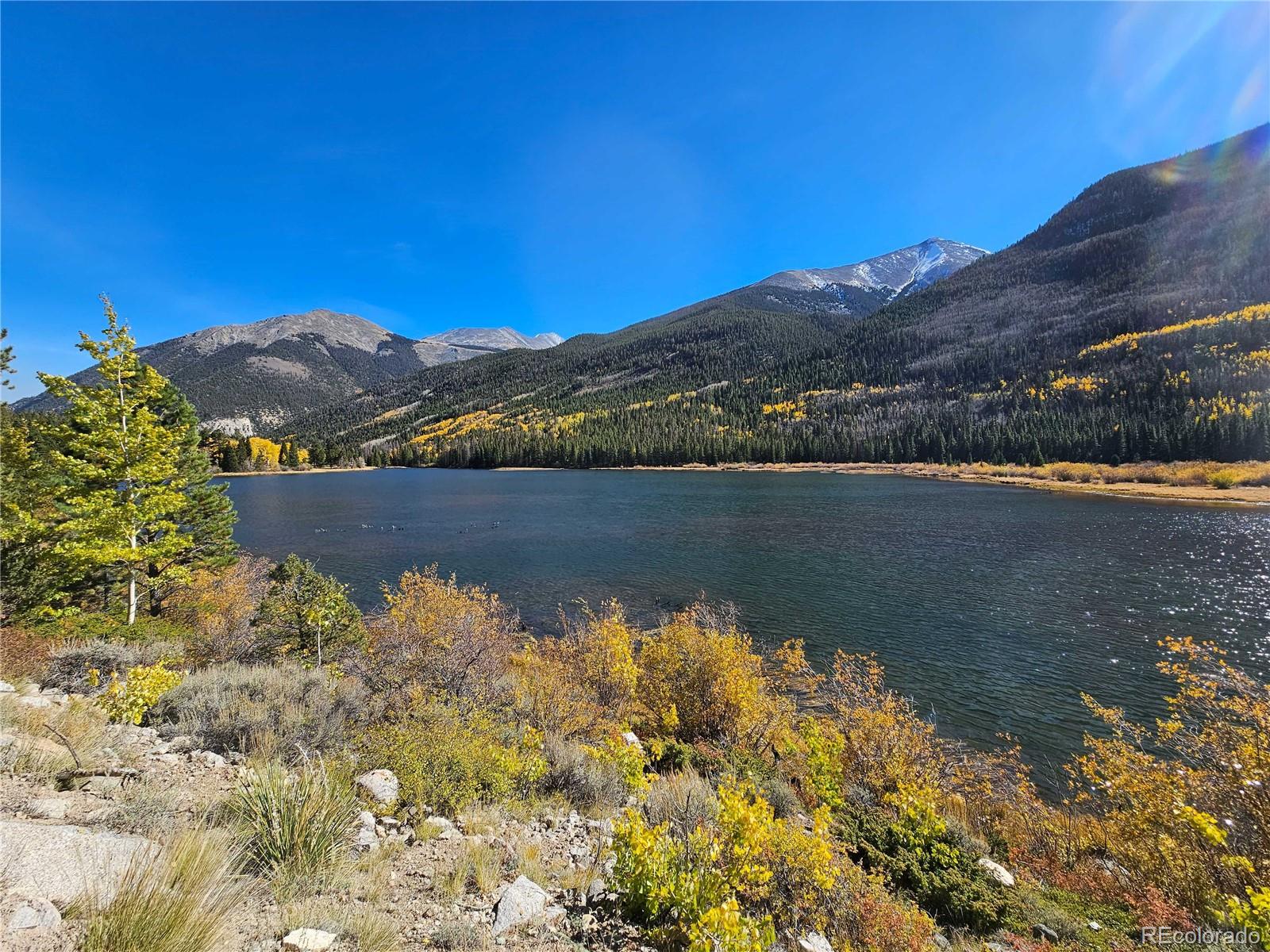 22590 County Road 292a Nathrop CO 81236