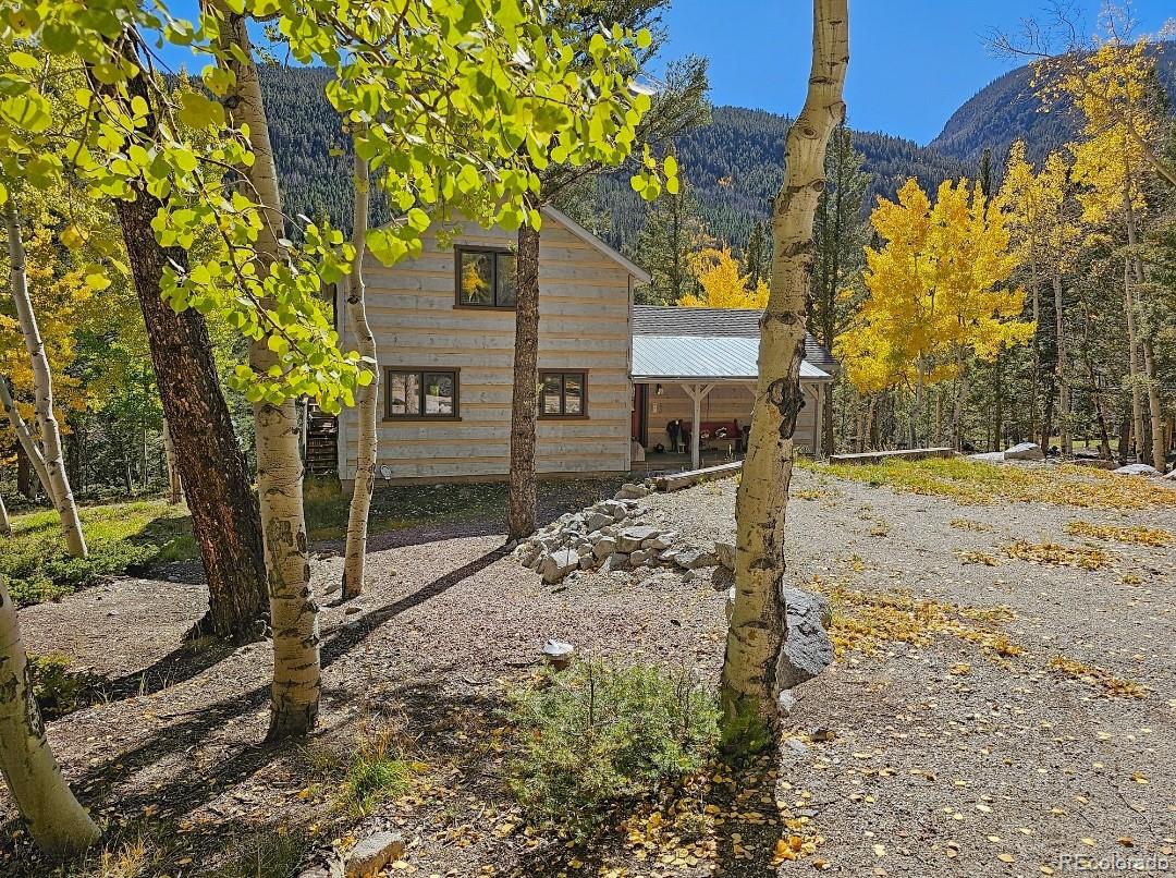 22590 County Road 292a Nathrop CO 81236